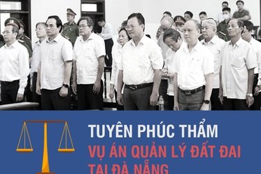 Infographics mức án của 2 cựu Chủ tịch Đà Nẵng và hàng loạt cựu cán bộ
