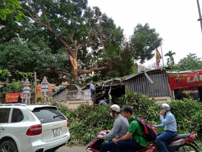 Hà Nội: Cây cổ thụ bất ngờ đổ sập xuống quán ăn, người dân hoảng loạn núp dưới gầm bàn cầu cứu - Ảnh 7. Hà Nội: Cây cổ thụ bất ngờ đổ sập xuống quán ăn, người dân hoảng loạn núp dưới gầm bàn cầu cứu - Ảnh 7.