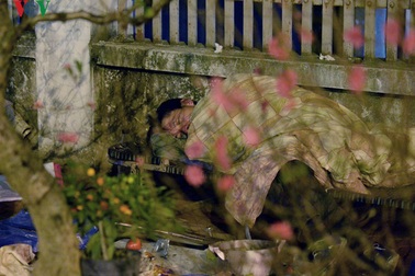 Người dân vất vả ngủ vỉa hè, thức đêm trông đào, quất giáp Tết