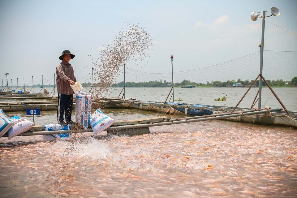 Lựa chọn điểm mua sắm thực phẩm an toàn dịp Tết - 2 Lựa chọn điểm mua sắm thực phẩm an toàn dịp Tết - 2