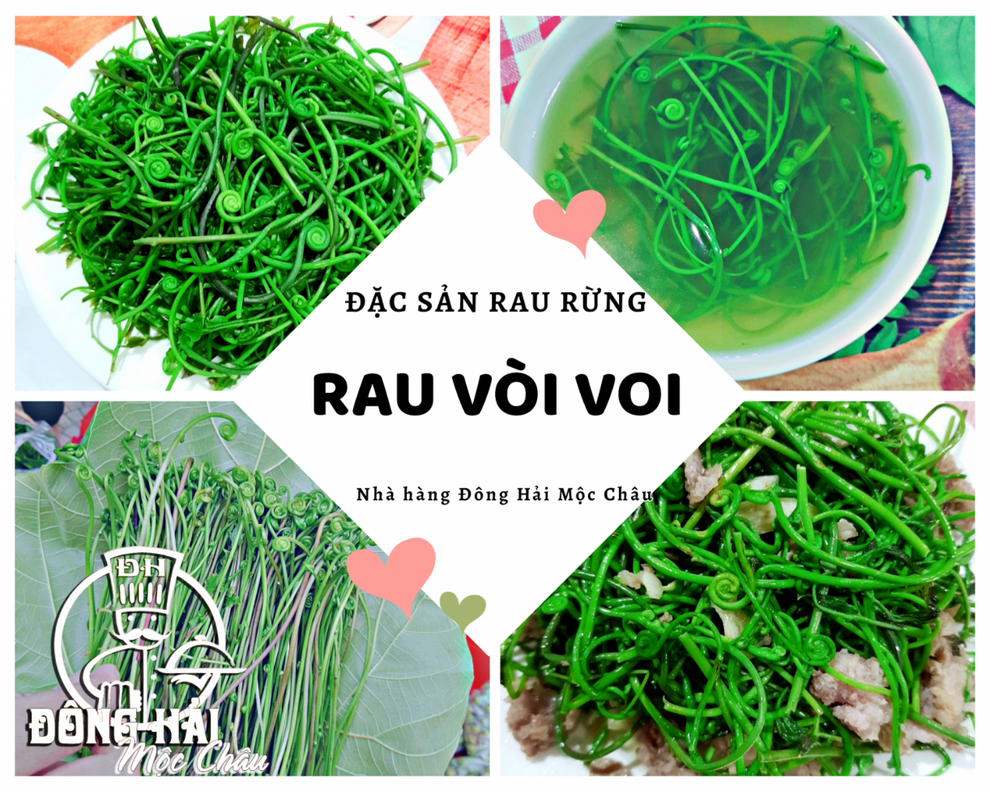 Du lịch Mộc Châu mùa hè - vừa trốn nóng, vừa trốn dịch - 8 Du lịch Mộc Châu mùa hè - vừa trốn nóng, vừa trốn dịch - 8