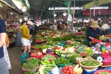 Ngăn chặn tình trạng chăn dắt người khuyết tật bán hàng, xin ăn biến tướng