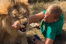Chuyên gia động vật bị sư tử tấn công dẫn đến nguy kịch