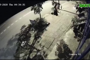 Nữ công nhân nhổ trộm hoa bên đường