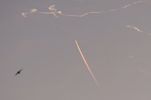 Tên lửa Iran xuyên thủng "Vòm Sắt", tấn công cơ sở quân sự Israel