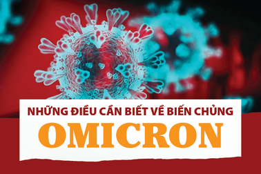 Những điều cần biết về "siêu biến chủng" Omicron
