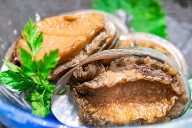 Vì sao món bào ngư chỉ dành cho nhà giàu?