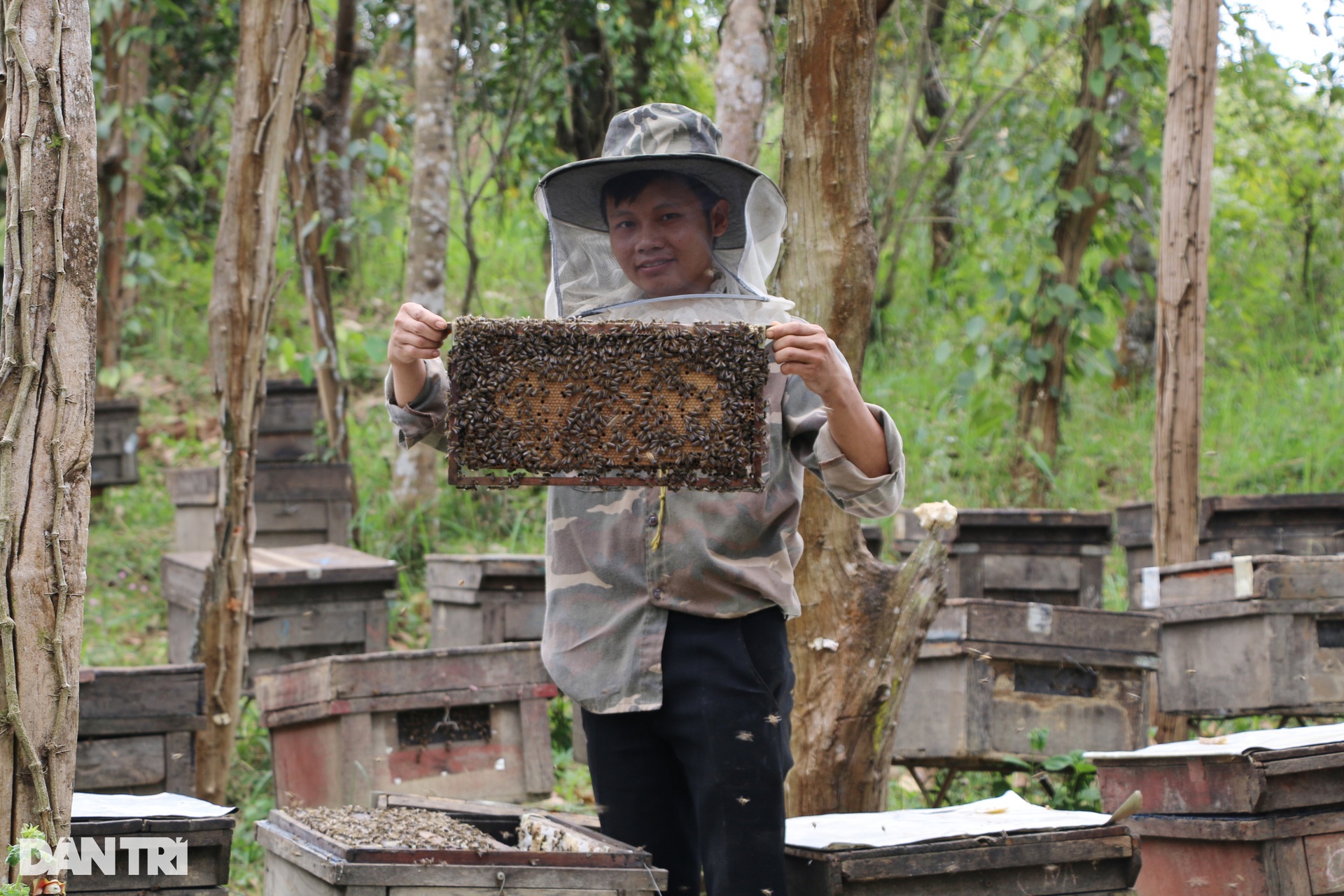 Mùa mật ong sớm ở Tây Nguyên - 10