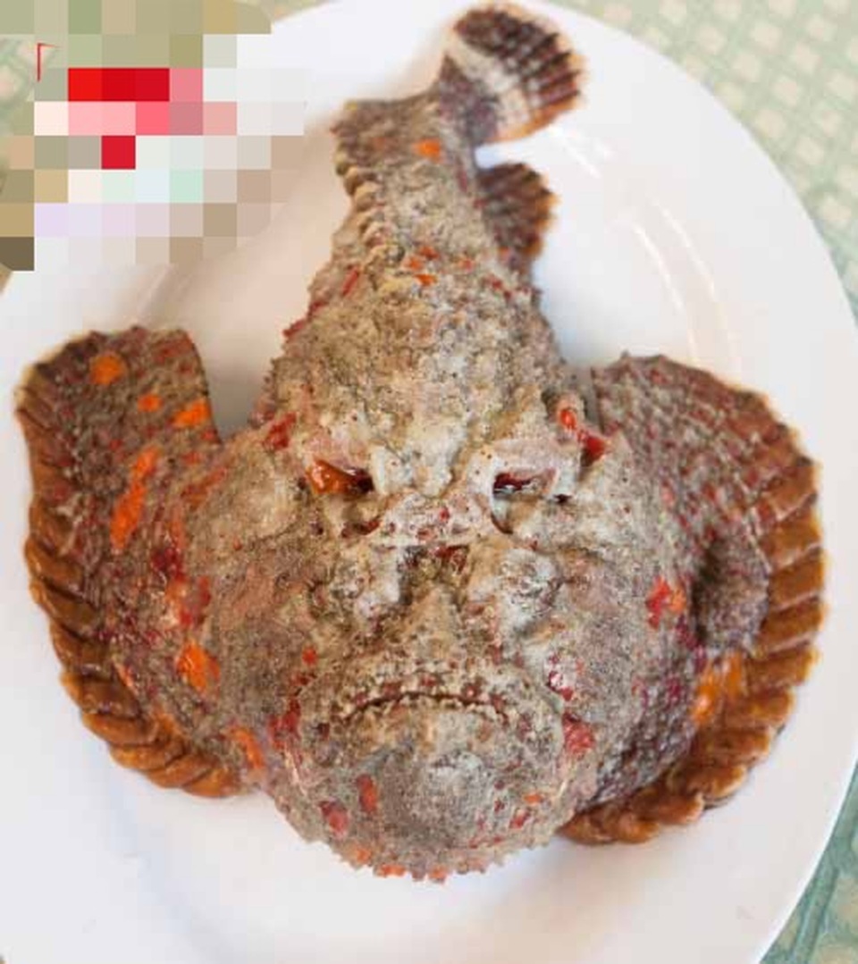 Lưu giữ trái phép các loại cá quý hiếm: 2 nhà hàng bị phạt nặng - 1 Lưu giữ trái phép các loại cá quý hiếm: 2 nhà hàng bị phạt nặng - 1