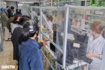 F0 tăng cao, kit test khan hàng, giá "nhảy múa", có nơi chỉ bán... 2 bộ