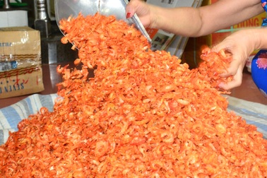 Nghề làm tôm khô và lễ hội vía Bà Thủy Long ở Cà Mau vào di sản quốc gia