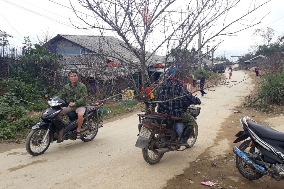 Đổ xô lên săn đào đá giá hàng chục triệu ở vùng biên Nghệ An - 12 Đổ xô lên săn đào đá giá hàng chục triệu ở vùng biên Nghệ An - 12