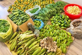 Mẹ trẻ ở Hà Nội bán rau ngay trong chung cư: Mỗi ngày hết sạch gần 200kg