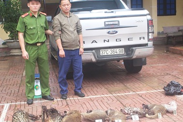 Bắt tài xế xe bán tải vận chuyển 8 cá thể động vật hoang dã