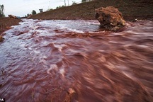 Về kiến nghị dừng các dự án Bô xít ở Tây Nguyên...