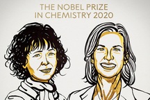 Nobel Hóa học vinh danh 2 nhà khoa học nữ với nghiên cứu về chỉnh sửa gen