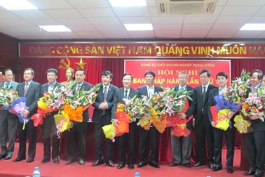 Tổng giám đốc Vietcombank làm Ủy viên BCH Đảng bộ khối DN Trung ương