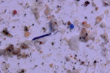 Khí quyển Trái Đất chứa đầy rác nhựa