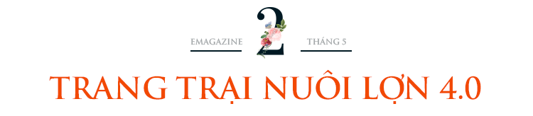 Cho lợn nghe nhạc, nuôi giun làm thực phẩm người phụ nữ thu nhập tiền tỷ - 3 Cho lợn nghe nhạc, nuôi giun làm thực phẩm người phụ nữ thu nhập tiền tỷ - 3