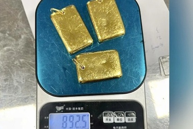 Một hành khách mang 3 miếng nghi vàng lậu trị giá 3,1 tỷ đồng nhập cảnh