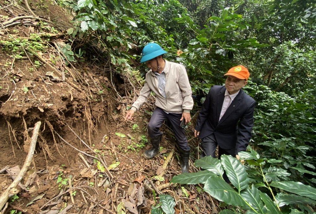 Đoàn chuyên gia khảo sát hiện trường sạt lở đất các đèo ở Lâm Đồng - 1