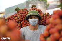 6 nhóm người nên hạn chế ăn vải