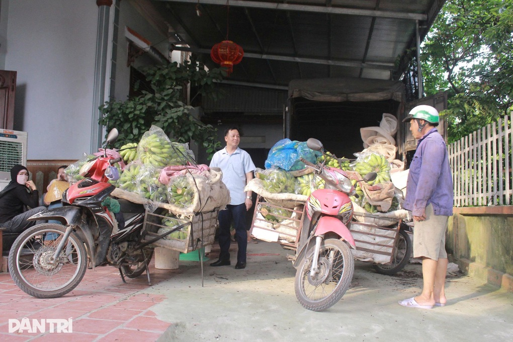Cả làng sống khỏe với nghề buôn chuối, người dân rủng rỉnh tiền - 3 Cả làng sống khỏe với nghề buôn chuối, người dân rủng rỉnh tiền - 3