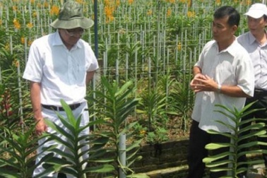 Trồng lan thu 80 triệu đồng/1.000m2