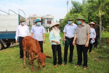 Cấp hơn 59 nghìn thẻ bảo hiểm y tế và hỗ trợ vay vốn đến người nghèo