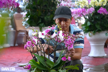 Làm thời vụ dịp Tết, kiếm cả triệu đồng mỗi ngày