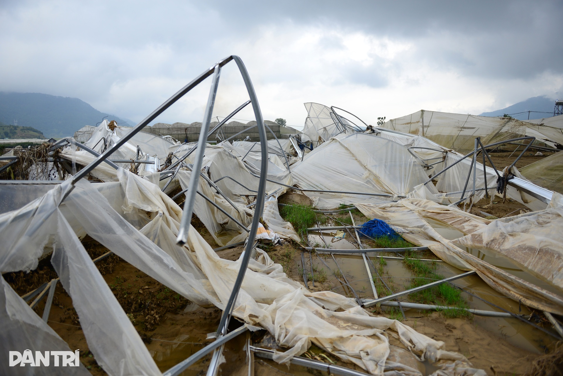 Lũ lịch sử cuốn phăng “thủ phủ” rau Lâm Đồng, đồng ruộng hoang lạnh - 3 Lũ lịch sử cuốn phăng “thủ phủ” rau Lâm Đồng, đồng ruộng hoang lạnh - 3