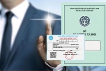 Ba thủ đoạn doanh nghiệp dùng để trốn đóng, trục lợi quỹ bảo hiểm