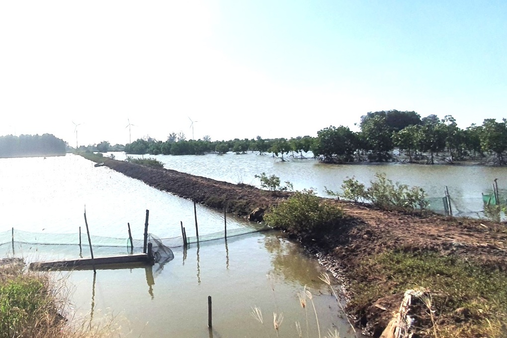 Giao nhầm hàng chục hecta đất của hộ nghèo cho cán bộ xã - 1 Giao nhầm hàng chục hecta đất của hộ nghèo cho cán bộ xã - 1