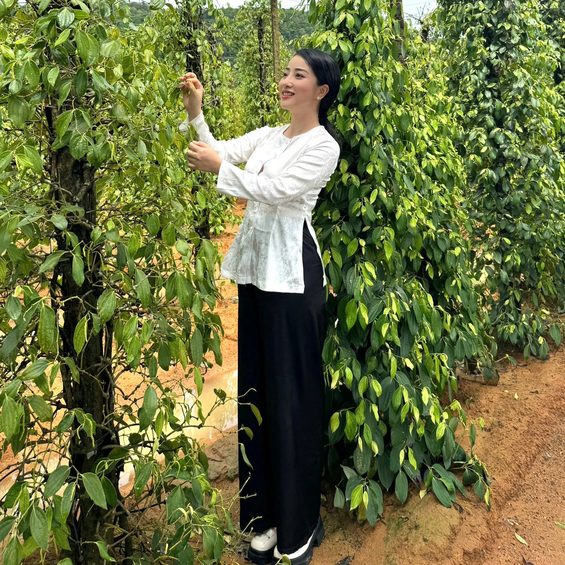 Nhan sắc xinh đẹp của nữ Thượng úy thuyết minh giọng miền Nam ở đại lễ A80 - 11 Nhan sắc xinh đẹp của nữ Thượng úy thuyết minh giọng miền Nam ở đại lễ A80 - 11