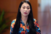 19 Ủy viên Trung ương là Chủ tịch HĐND, 2 tỉnh có Chủ tịch HĐND bị bắt giam