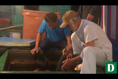 Đội tàu 67 làm nghề lưới rê bội thu mùa cá