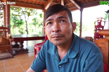 Lão nông trồng rừng lim lấy nấm quý