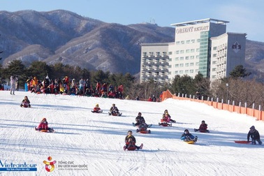 Bật mí cách chơi để vui “hết nấc” tại khu trượt tuyết Hàn Quốc