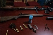 Nam Phi: Kẻ săn trộm sừng tê giác bị voi dẫm chết, sư tử ăn thịt