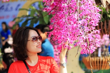 Mãn nhãn với những giò lan đẹp ngất ngây tại triển lãm “Hương sắc Lai Châu”