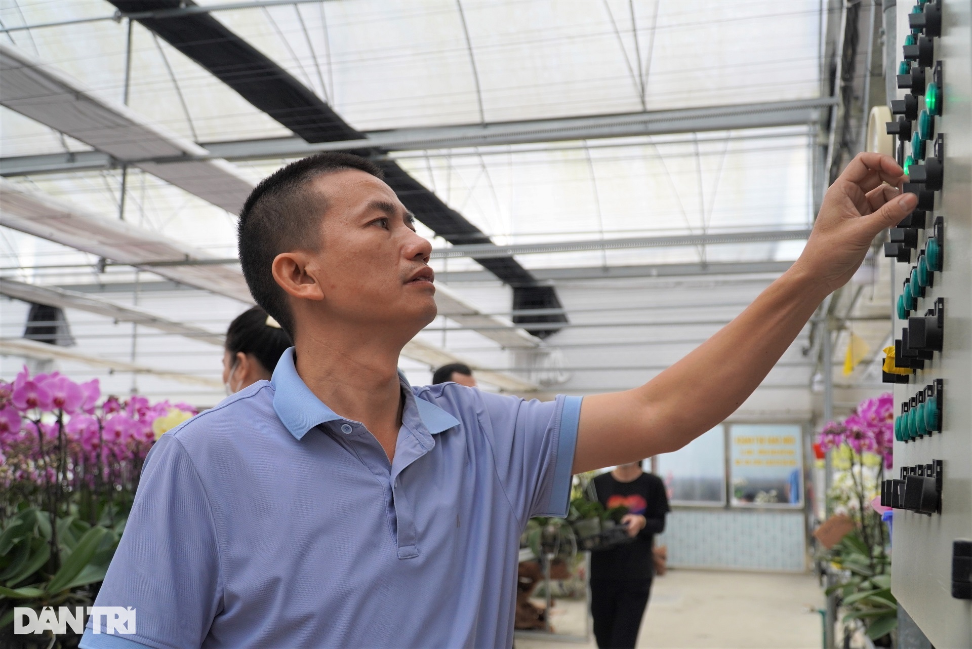 Thu 8 tỷ đồng dịp Tết sau cú liều trồng hoa cao cấp trên đất khắc nghiệt - 4 Thu 8 tỷ đồng dịp Tết sau cú liều trồng hoa cao cấp trên đất khắc nghiệt - 4