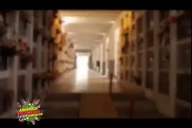 Capitan chú chó trung thành 10 chờ đợi bên mộ chủ