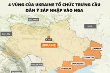 Tiềm lực của 4 vùng Ukraine tổ chức trưng cầu dân ý sáp nhập vào Nga