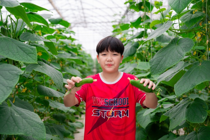Khám phá Hành trình nông sản sạch tại WinEco Tam Đảo - 6 Khám phá Hành trình nông sản sạch tại WinEco Tam Đảo - 6