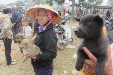 Thú vị dạo chợ quê ngày Tết