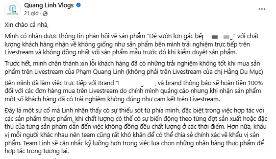 Quang Linh Vlogs xin lỗi vì livestream bán hàng kém chất lượng - 1