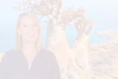 Tới thăm Quần đảo Socotra, Yemen - địa danh kỳ lạ như ngoài hành tinh