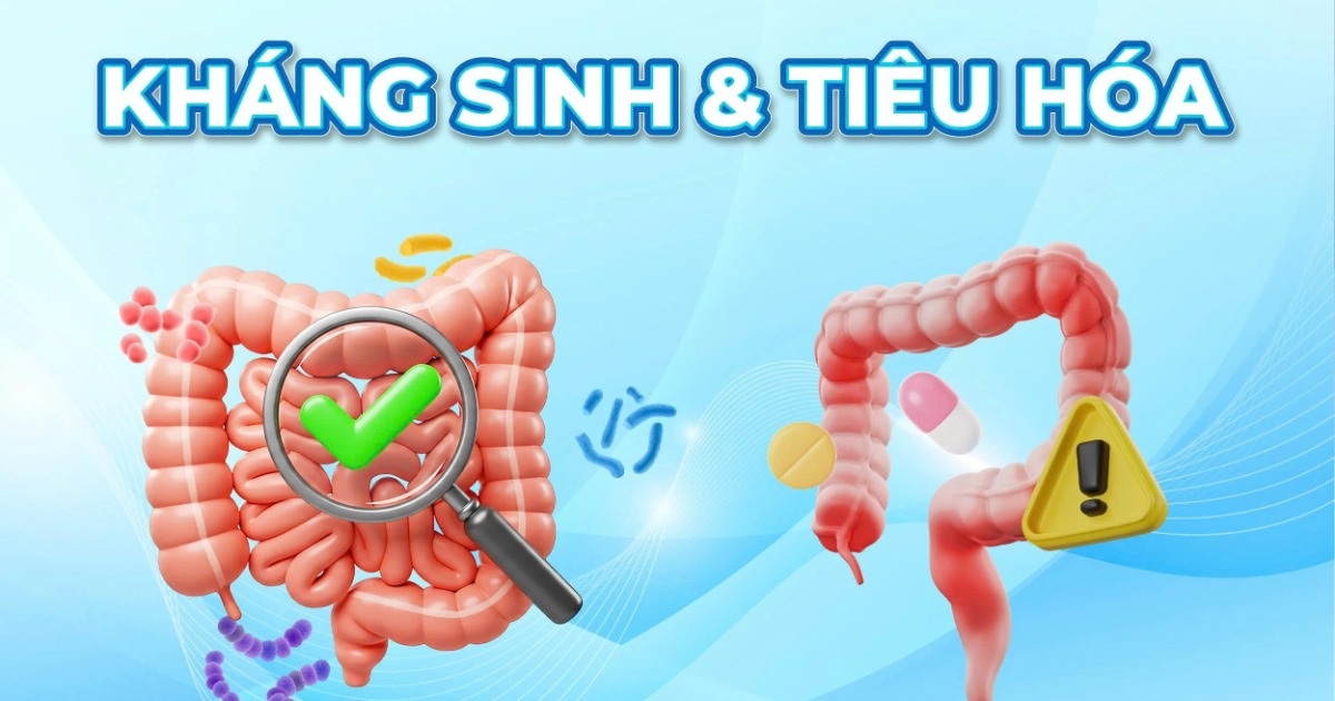 Giải pháp men vi sinh cho trẻ biếng ăn, tiêu chảy sau dùng kháng sinh kéo dài