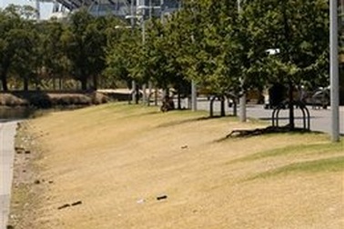 Australia: Nóng nắng kỷ lục lên tới 45 độ C