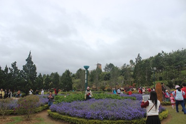 Lâm Đồng thu hút hơn 2,5 triệu lượt khách trong 6 tháng đầu năm